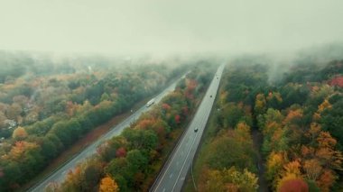 Güzel sonbahar yeşilliği sisli otoban manzarası