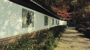 Hupao ya da Çin 'in Hangzhou kentindeki Tiger Spring Parkı' nın Hayali