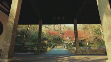 Hupao ya da Çin 'in Hangzhou kentindeki Tiger Spring Parkı' nın Hayali