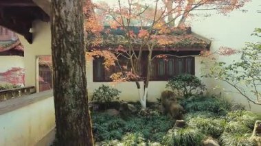 Hupao ya da Çin 'in Hangzhou kentindeki Tiger Spring Parkı' nın Hayali