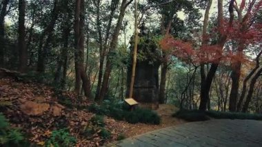 Çin 'in Zhejiang eyaletindeki Hangzhou' da Liuhe Pagoda 'nın park manzarası