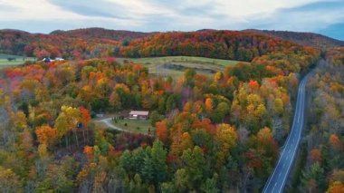 New England 'da sonbahar yapraklı dağın havadan görünüşü ABD 4k