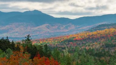 White Mountain Güz Yeşilliği New Hampshire 'da zaman aşımına uğradı