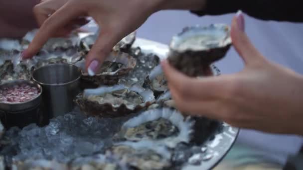 Close Hand Holding Oyster — Stock Video