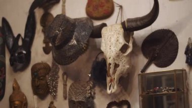 Bir boğa dekorunun kafatasını kapat. 