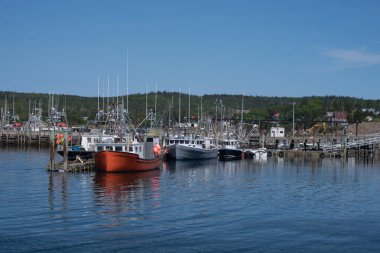 Grand Manan New Brunswick limanında bir balıkçı filosu