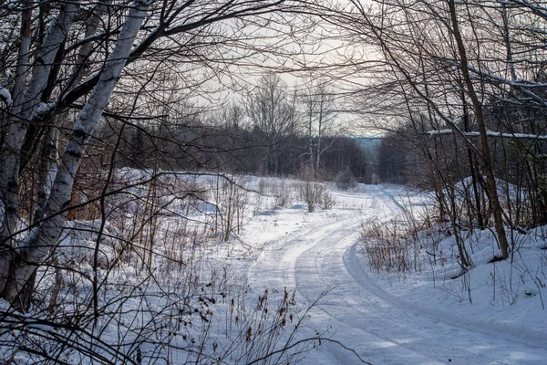 Winter Groomed Trail New Brunswick — Stock Photo, Image