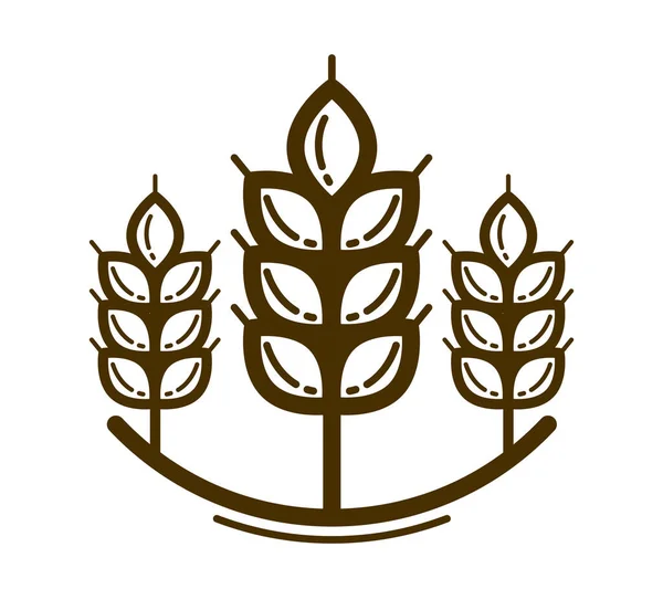 Reifer Weizen Spike Vektor Lineares Symbol Isoliert Auf Weißem Hintergrund — Stockvektor