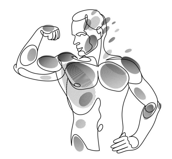 Athletic Man Torso Vector Linear Illustration Male Beauty Perfect Muscular — Stock vektor