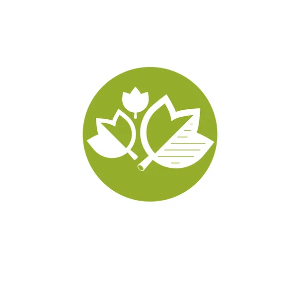 Ressort Vectoriel Laisse Illustration Vectorielle Concept Médecine Alternative Logo Phytothérapie — Image vectorielle