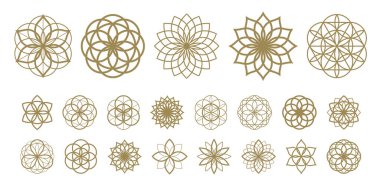 Yaşam vektörünün çiçeği antik ezoterik sembol büyük vektör kümesi.