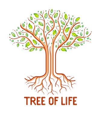 Yaşam, yaşam ve ölüm ağacı, yaşam döngüsü, vektör logosu doğrusal çizim, klasik sembol.