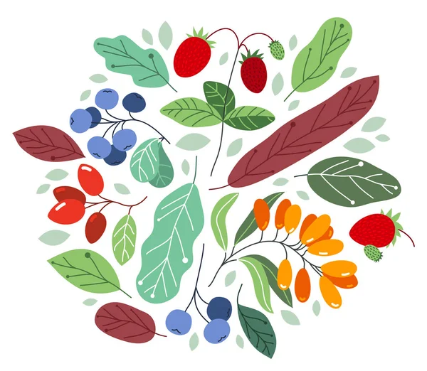 Дикие Ягоды Свежие Спелые Вкусные Здоровые Продукты Питания Листьями Векторные — стоковый вектор