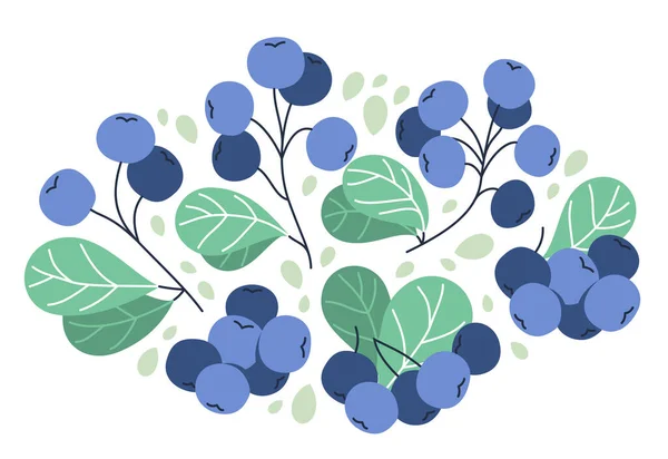 鲜美而成熟的野生蓝莓病媒图片说明 在白色 天然的饮食 美味的食物 森林野生浆果系列中分离出来 — 图库矢量图片