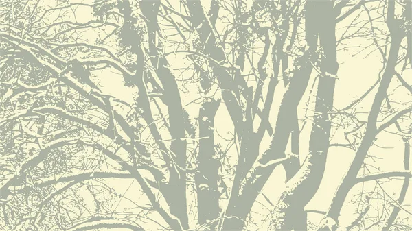Träd Grenar Med Snö Vinter Struktur Vektor Abstrakt Naturlig Grunge — Stock vektor