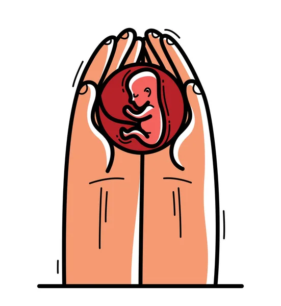 Δύο Χέρια Έμβρυο Προστασία Και Δείχνει Φροντίδα Διάνυσμα Επίπεδη Εικόνα — Διανυσματικό Αρχείο