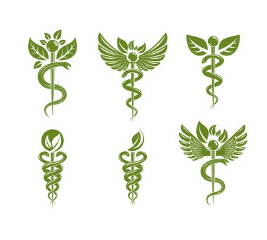 Zehirli yılanlar ve kuş kanatlarıyla oluşturulan Caduceus çizimleri koleksiyonu, sağlık hizmeti kavramsal vektör çizimleri. Alternatif tıp teması.