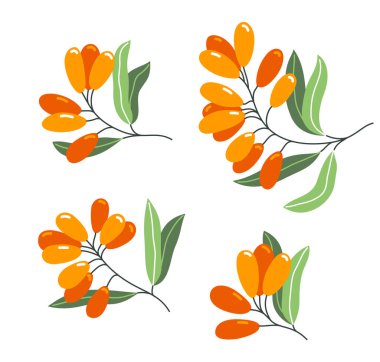 Taze, lezzetli, olgun deniz dikenli üzümleri, bembeyaz, doğal diyet gıda bitkilerine izole edilmiş düz illüstrasyon, lezzetli yemek, orman yabanmersini serisi..