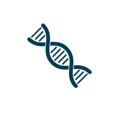 İnsan DNA 'sı modeli, çift sarmal vektör çizimi. Genetik mühendisliği soyut sembolü beyaza izole edilmiş..