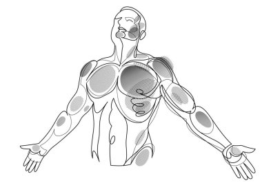 Man with spread hands showing pose of freedom like feeling that he can fly, vector linear illustration, emotional concept of feel free and happy.