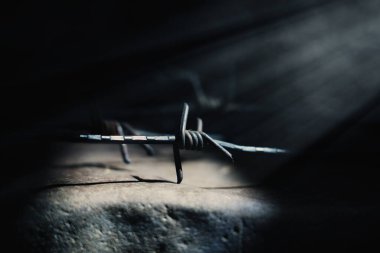 Hapsedilme, hapsetme ve baskı sembolü olarak dikenli tel. 