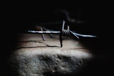 Hapsedilme, hapsetme ve baskı sembolü olarak dikenli teller. Yatay resim.