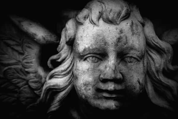 天使よ 恐怖と人生の概念の終わり 白黒の画像 — ストック写真