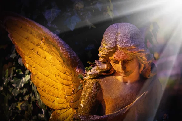 美しい守護天使 緑の葉に対する古代の像 — ストック写真