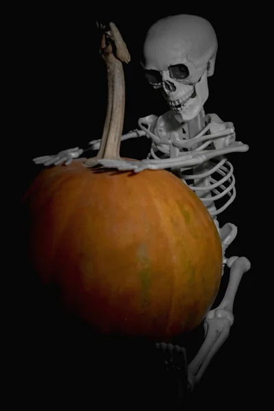 Halloween Party Card Pumpkin Skeleton Black Background — Stock Photo, Image