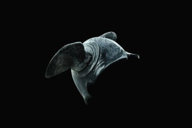 Helmet with wings of Hermes (Mercury). Fragment of an ancient statue on black background.