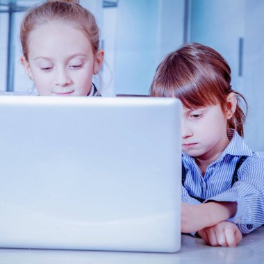 İş ve iş kavramı. Ofiste çalışan iki sevimli iş kızının portresi..