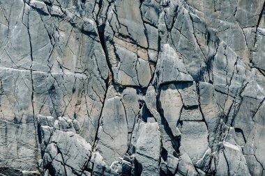 Jurasik dönemin Rock 'ı. Metin veya tasarım için boşluk kopyala. Yatay resim.