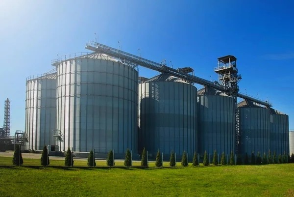 Kornspeicher Moderne Landwirtschaftliche Verarbeitungsanlage Zur Lagerung Und Verarbeitung Von Getreide — Stockfoto