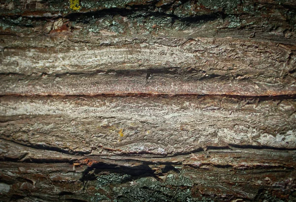Старий Фон Текстури Дерева Копіювати Простір Дизайну — стокове фото
