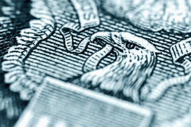 Amerikan Doları faturasını kapat, makro görüntü. Kartalın gözüne odaklan..