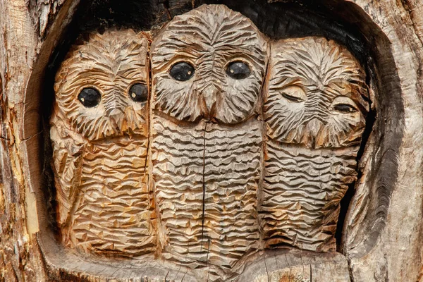 Statue Three Owls Symbol Knowledge Learning Wisdom — Stock Photo, Image