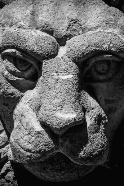 Закрыть Фрагмент Древней Статуи Льва — стоковое фото