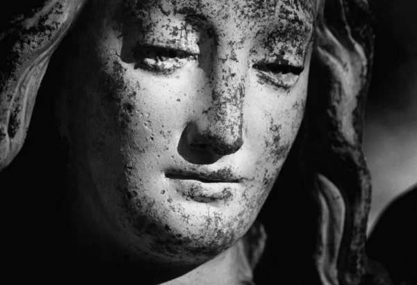 Tagic Look Cassandra Kassandra Alexandra Trojan Priestess Apollo Greek Mythology — Stok fotoğraf