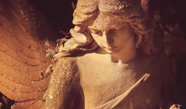 見下ろす甘い表情の美しい天使石の彫刻 古代彫刻の断片 — ストック写真