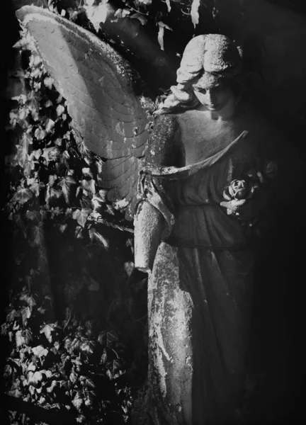 Black White Image Angel Sunlight Antique Statue — Stock Photo, Image