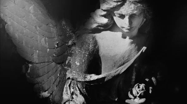 太陽の光の中で天使の黒と白のイメージ アンティークの像 — ストック写真