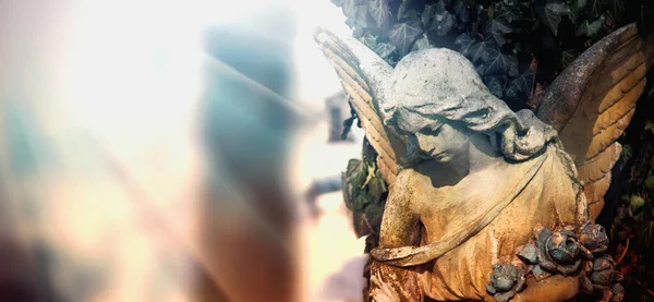 墓地の悲しい天使 古代の彫像 スペースのコピー — ストック写真