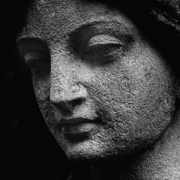 Bohyně Lásky Řecké Mytologii Afrodita Venuše Římské Mytologii Černobílý Obrázek — Stock fotografie