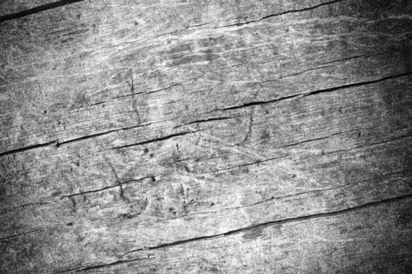 Velha Casca Cinzenta Textura Árvore Espaço Cópia — Fotografia de Stock