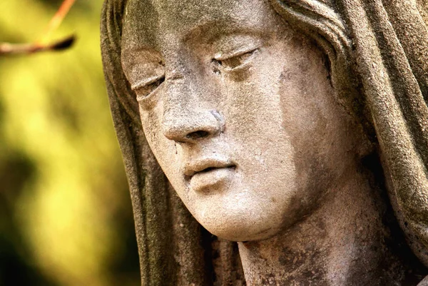 愛と優しさのシンボルとして聖母マリアの像を閉じる — ストック写真