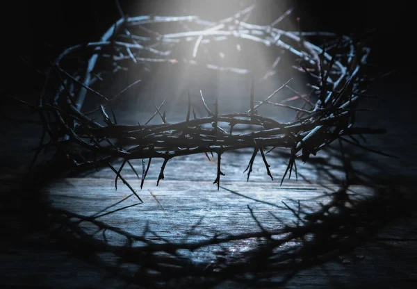 イエス キリストの情熱 死と復活の象徴として光の光線の冠のとげのマクロイメージ — ストック写真