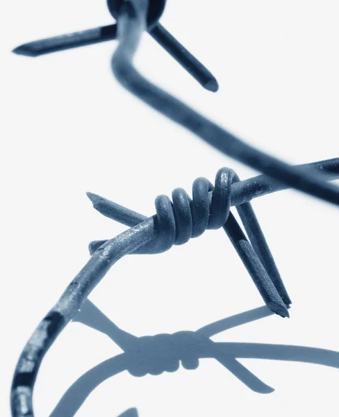 Close Barbed Wire Symbol Totalitarianism Authoritarianism Violent Extremism Vertical Image — Stock Photo, Image
