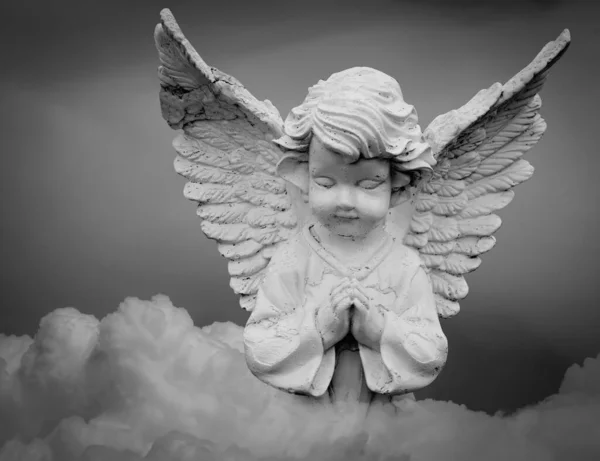 白い小さな美しい天使が空の雲の上で祈っています 白黒の画像 ストック写真