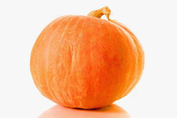白色背景下的黄色南瓜 新鲜橙子 — 图库照片