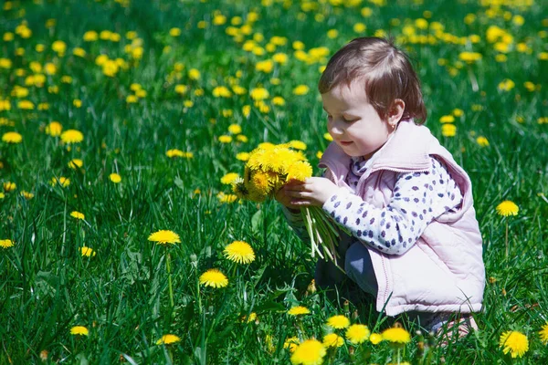 快乐的童年漂亮的小女孩收集野花花束 文字的位置 度假概念 横向图像 — 图库照片